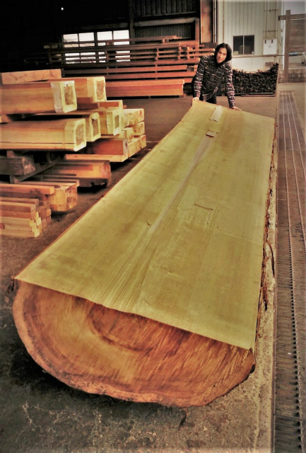 1547201400774候補s